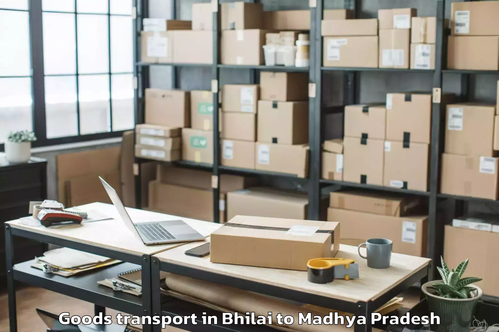 Reliable Bhilai to Gwalior Airport Gwl Goods Transport